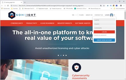 Landing, Landing Page + UI Somsight