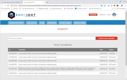 Logged user UI, Landing Page + UI Somsight