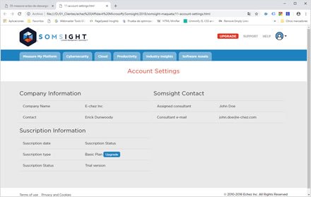 Logged user UI, Landing Page + UI Somsight