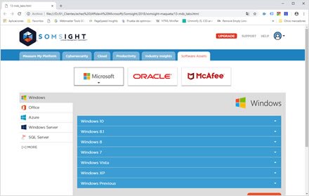 Logged user UI, Landing Page + UI Somsight