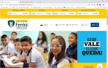 Acceso de públicos, Sitio web Joomla Colegio Ferrini
