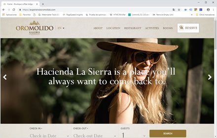 Home, Web Hotel en Wordpress Experience Oro Molido