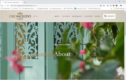 About, Web Hotel en Wordpress Experience Oro Molido