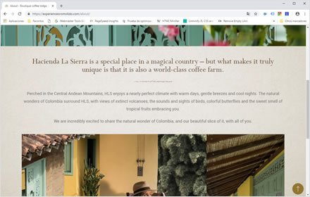 About, Web Hotel en Wordpress Experience Oro Molido