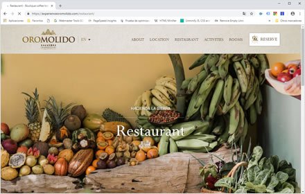 Restaurant, Web Hotel en Wordpress Experience Oro Molido