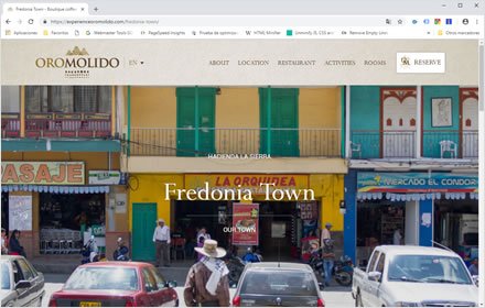 Activities, Web Hotel en Wordpress Experience Oro Molido