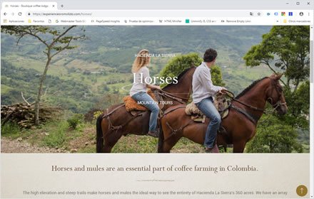 Activities, Web Hotel en Wordpress Experience Oro Molido
