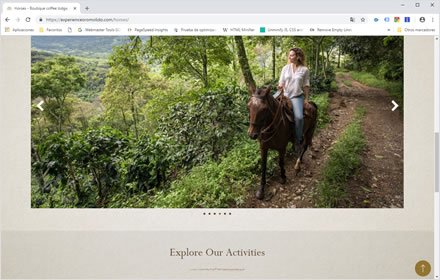 Activities, Web Hotel en Wordpress Experience Oro Molido