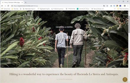 Activities, Web Hotel en Wordpress Experience Oro Molido