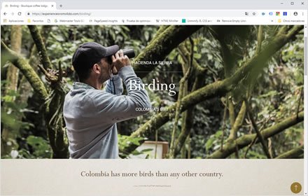 Activities, Web Hotel en Wordpress Experience Oro Molido