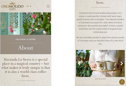 Adaptación Responsive, Web Hotel en Wordpress Experience Oro Molido