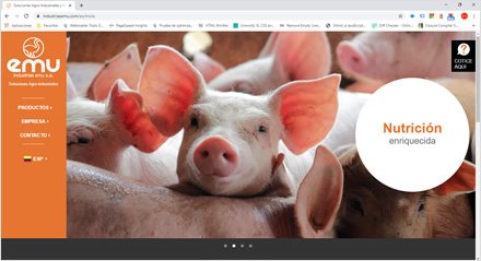 Home, Web HTML5 administrable Industrias EMU