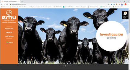 Home, Web HTML5 administrable Industrias EMU