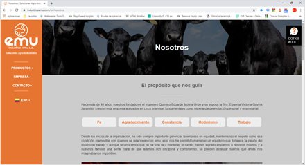 Nosotros, Web HTML5 administrable Industrias EMU
