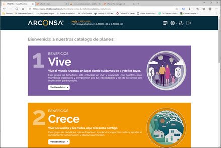 Categorías de beneficios, WebApp de Beneficios Arconsa
