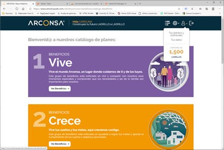 Perfil de empleado, WebApp de Beneficios Arconsa