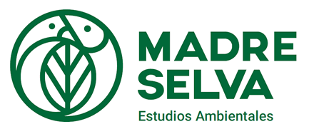 Opción proceso, Naming y diseño de Logo Madre Selva