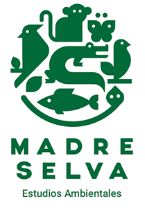 Opción proceso, Naming y diseño de Logo Madre Selva
