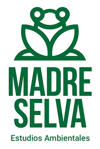 Opción proceso, Naming y diseño de Logo Madre Selva