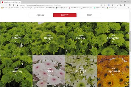 Landing Page, Micro sitio HTML5 Selecta Flowers