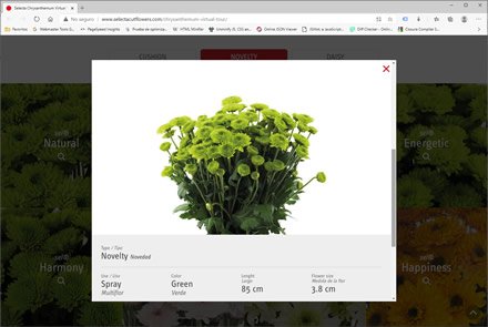 Landing Page (pop-up), Micro sitio HTML5 Selecta Flowers