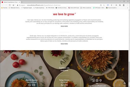 Landing Page, Micro sitio HTML5 Selecta Flowers