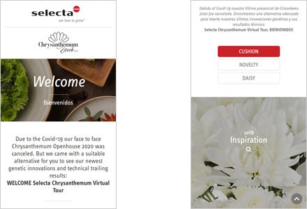 Adaptación responsive, Micro sitio HTML5 Selecta Flowers