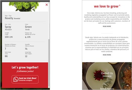 Adaptación responsive, Micro sitio HTML5 Selecta Flowers