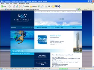 Detalle Proyecto, Web Btesh & Virzi