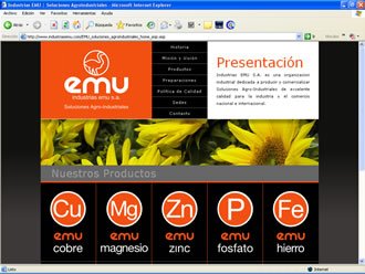 Home, Web Industrias EMU