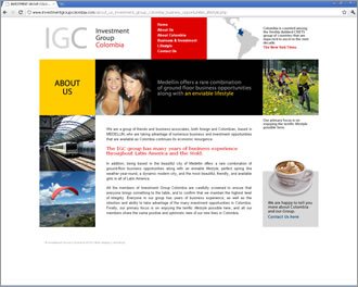 About Us, Web Investment Group