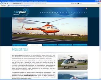 Empresa, Web Aire Puro Aviación