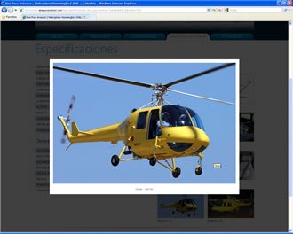 Detalle Galería, Web Aire Puro Aviación