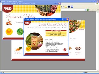 Productos (detalle), Web Caldos Aneto