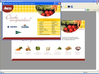 Interface Distribuidores, Web Caldos Aneto