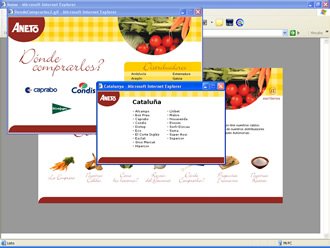 Distribuidores (detalle), Web Caldos Aneto