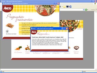 FAQs (detalle), Web Caldos Aneto