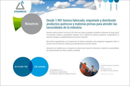 Nosotros, Sitio web Atequímicos