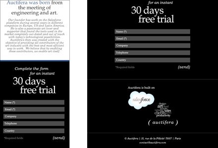Responsive design, Interfaces responsive Auctifera