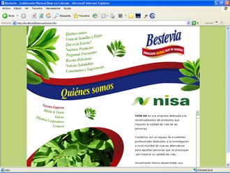 Presentación empresa, Web Bestevia