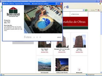 Detalle de Portafolio, Web Bienes y Bienes