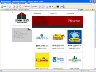 Listado de Proyectos, Web Bienes y Bienes