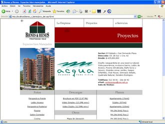 Detalle de Proyecto, Web Bienes y Bienes