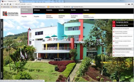 Navegación flotante (7), Web Joomla Colegiatura
