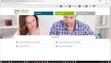 Descargas, Diseño de interfaces Inmobiliaria Conaltura