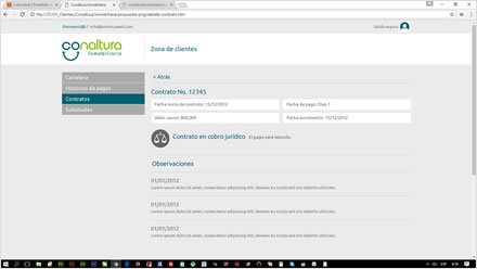 Zona clientes, Diseño de interfaces Inmobiliaria Conaltura