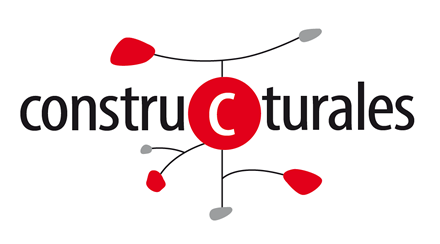 Opciones proceso, Diseño de logo Constructurales