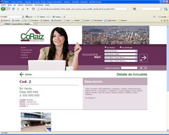 Detalle inmueble, Web CoRaiz