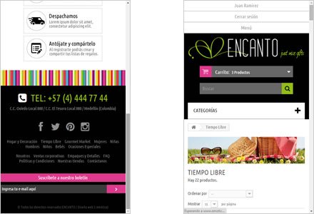Responsive design, Tienda electrónica Regalos Encanto