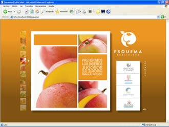 Flash Slide (4), Web Esquema Publicidad